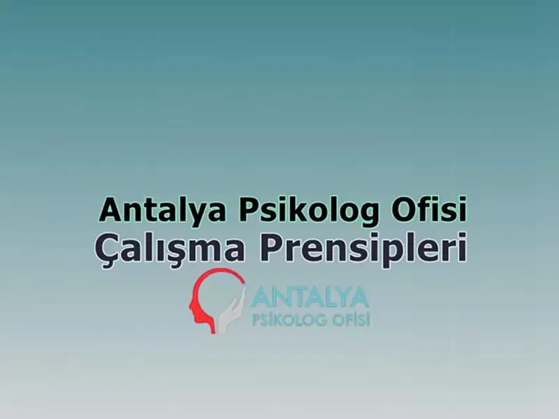 Bakı Psikolog Ofisi çalışma prensibi